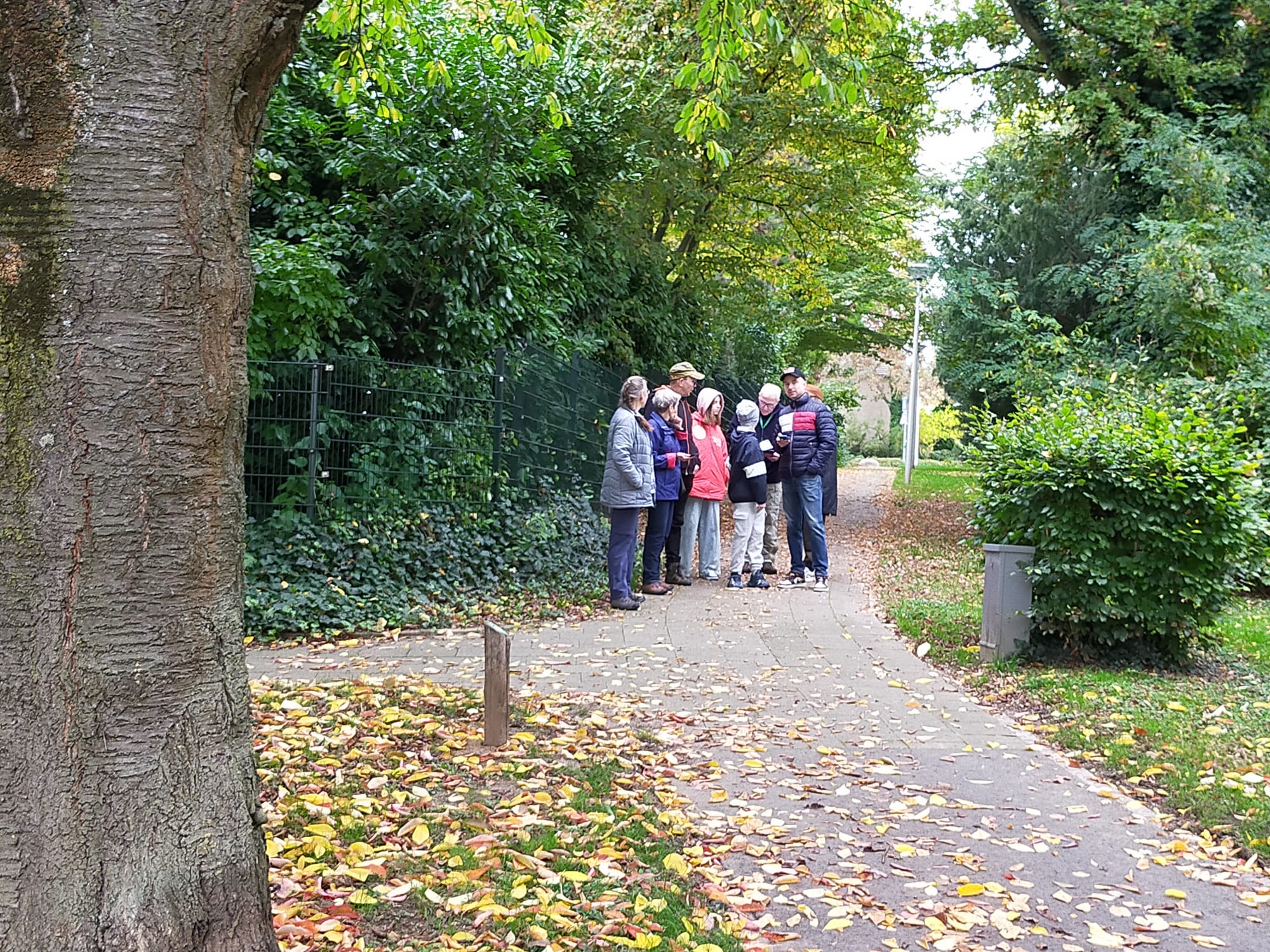 Afbeelding van WhatsApp op 2025-10-19 om 13.55.03_7f079d47